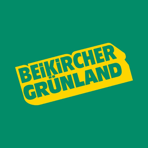 LKW-Fahrer (m/w/d)
